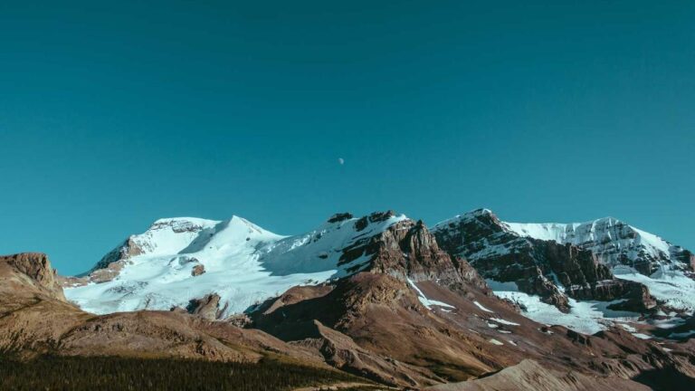 How To Recover Apna Gold365 App Login Id And Password?